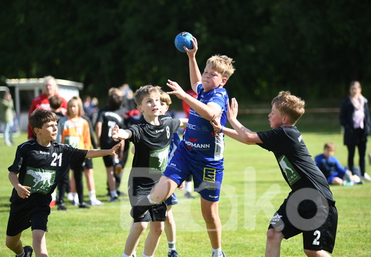 Geest-Cup